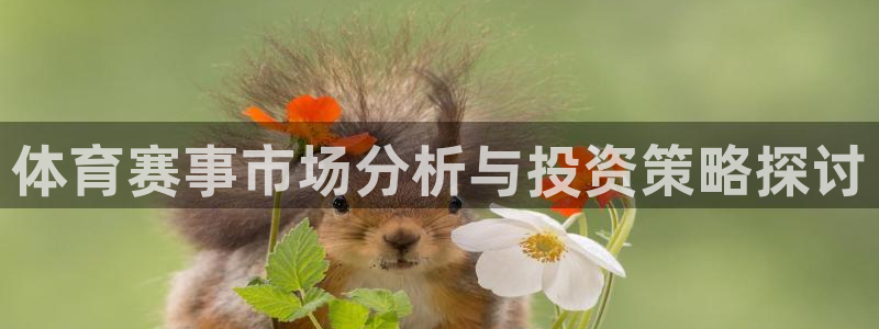 体育赛事市场分析与投资策略探讨