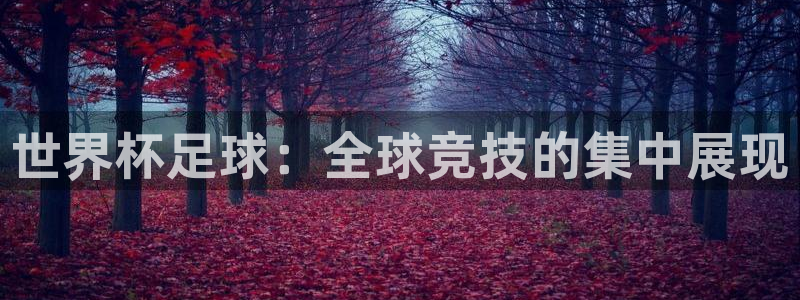 世界杯足球：全球竞技的集中展现