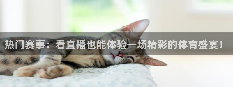 热门赛事：看直播也能体验一场精彩的体育盛宴！