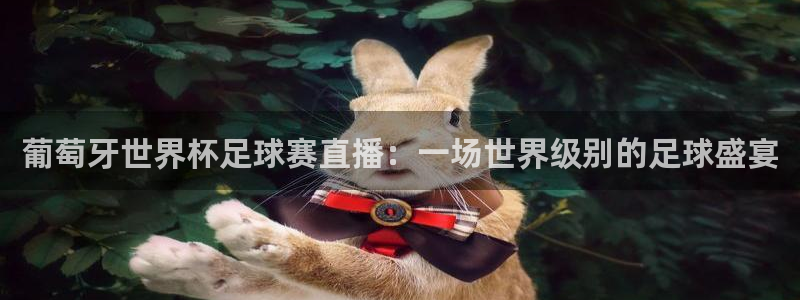 葡萄牙世界杯足球赛直播：一场世界级别的足球盛宴