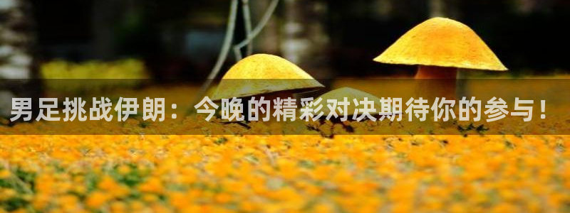 男足挑战伊朗：今晚的精彩对决期待你的参与！