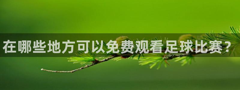 在哪些地方可以免费观看足球比赛？