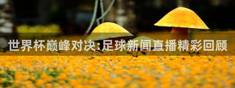 世界杯巅峰对决:足球新闻直播精彩回顾