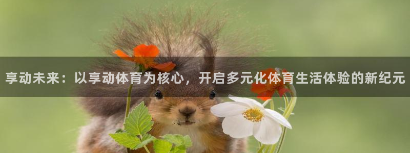 享动未来：以享动体育为核心，开启多元化体育生活体验的新纪元