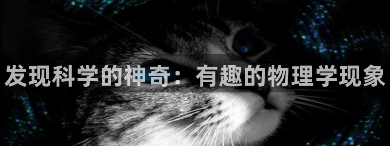 发现科学的神奇：有趣的物理学现象