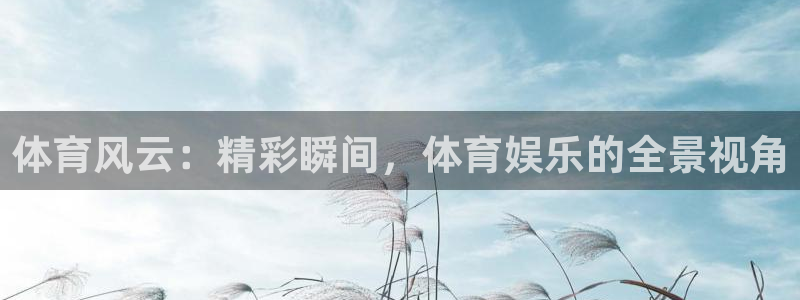 体育风云：精彩瞬间，体育娱乐的全景视角
