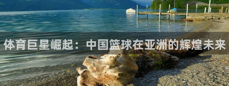 体育巨星崛起：中国篮球在亚洲的辉煌未来